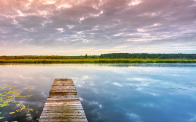 Inner Ninja 101: Building Calm from the Inside Out